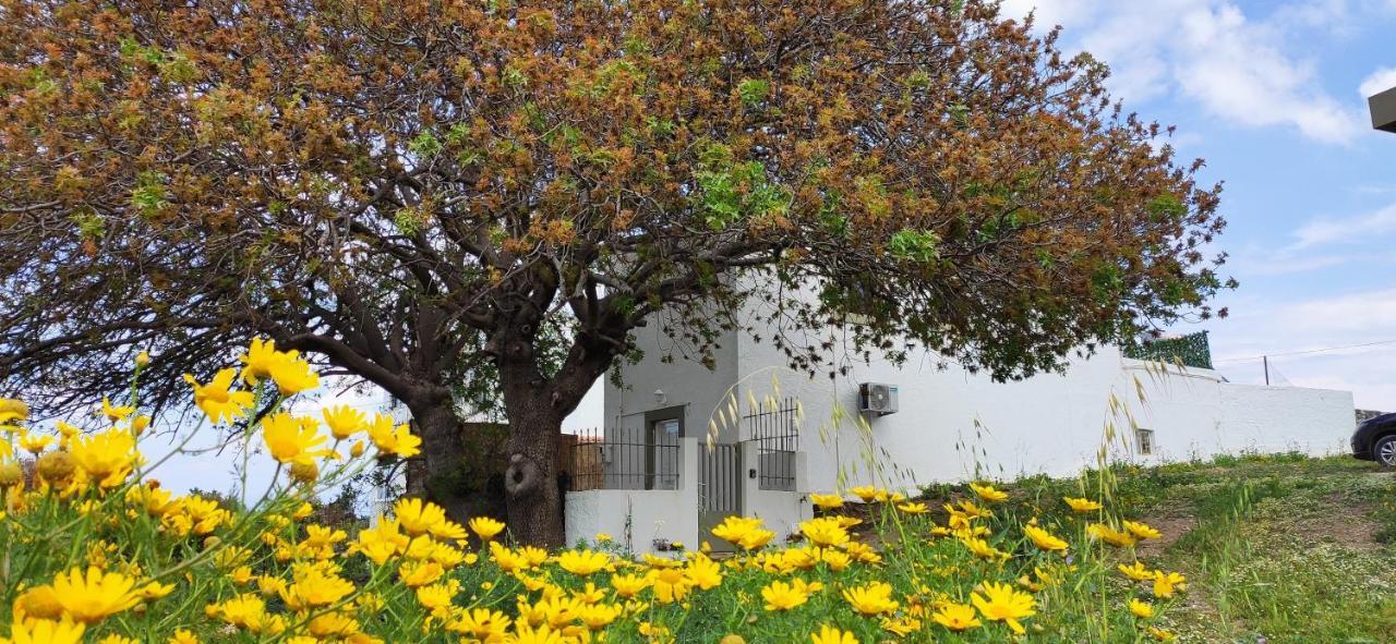 Traditional Suburbs Maisonette Kos Bagian luar foto